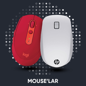 Mouse
